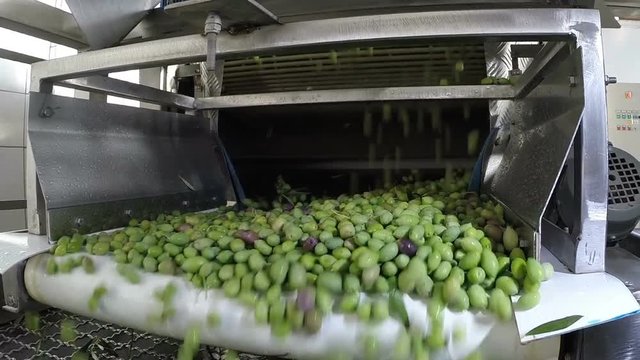 The process of olive washing in a modern oil mill