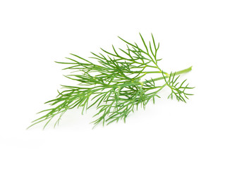 Green dill isolated on white background. Studio macro - 126260489