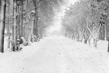 Alley in winter park with benches and lantern during snowfall