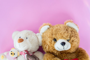 Teddy bear on pink background