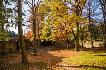 Fototapeta premium Zvikov castle, Czech republic.