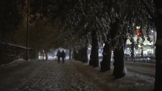 an image of the couple walking in winter time