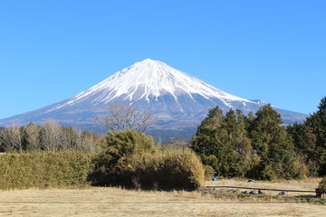 富士山