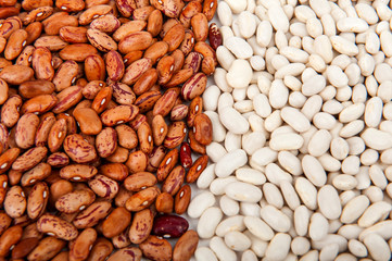 Белая и коричневая фасоль