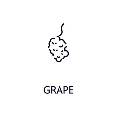 Grape line icon