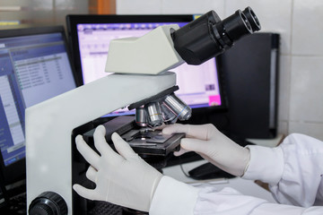 scientist working at the laboratory