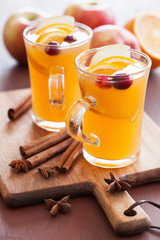 hot apple orange cider with cinnamon spice warming drink