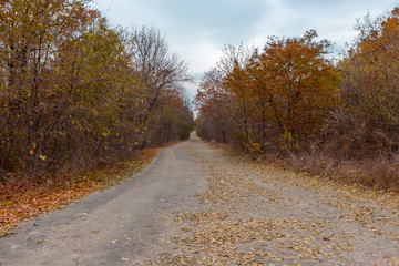 Autumn Road,Moldova,Chisinau 2016/Autumn Road