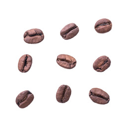 Coffee bean on white background