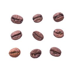 Coffee bean on white background