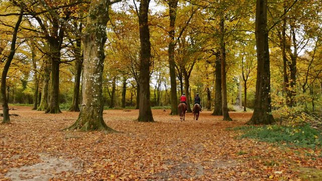 2 cavali&egrave;res dans la for&ecirc;t,