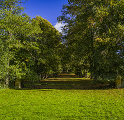 gardens