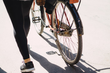 European cycling transport