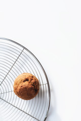 Muffin, fresh home made muffin on cake rack