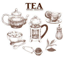 Tea set. Hand drawn collection in vintage style. Vector illustration. 