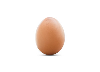 chicken egg on isolate white