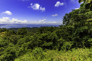 Fototapeta na wymiar View of Lake Brokopondo in Surinam
