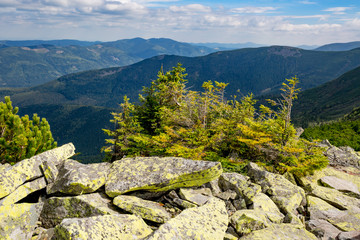 sunny scene with old stones in Carpathians