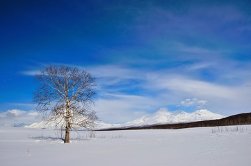 winter landscape in Russia