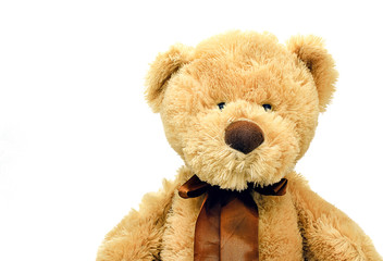 Brown teddy bear on white background, Close up image