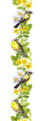 Frame - birds, meadow herbs. Watercolor. Vintage seamless border stripe