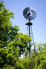 Fototapeta premium Big Bend National Park