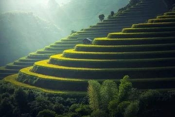 Photo sur Plexiglas Mu Cang Chai Vietnam Rizières en terrasses en saison des pluies à Mu cang chai, Vietnam. Des rizières se préparent à être transplantées dans le nord-ouest du Vietnam