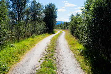 Fototapeta na wymiar Norway countyside summer road background