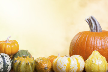 Assorted Pumpkins, Gourds and Squash on an Autumn Background