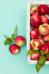Top view on white basket full of fresh red organic apples on turquoise background. Autumn Harvest. Healthy snack.