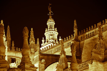Fototapeta premium The lights of the Cathedral of Seville