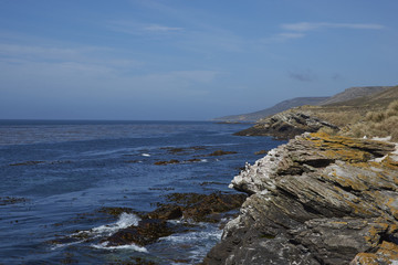 Rocky northern coast of Carcass Island in the Falkland Islands