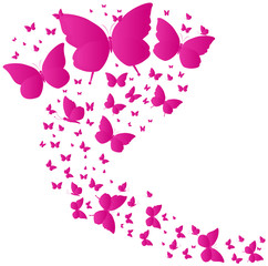 beautiful butterflies, isolated on a white