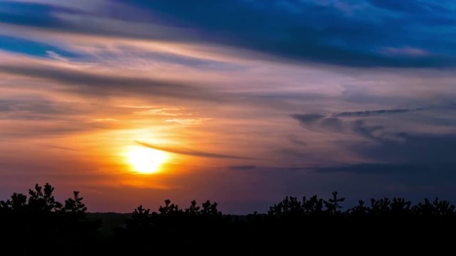 
4 K. Sunset over trees  in red  and blue sky with clouds.  Time lapse  without birds
