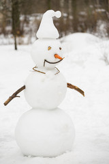 Portrait of funny handmade snowman with top hat, pipe and red scarf. Winter forest background.