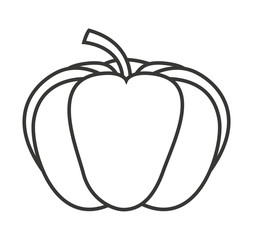 pumpking vegetable isolated icon vector illustration design