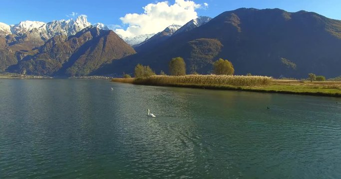 Aerial 4k - Riserva Naturale di Pian di Spagna - Lago di Novate Mezzola - Valchiavenna (IT) - cigno 
Nota del redattore: