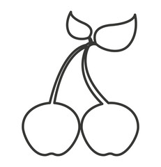 cherry fresh fruit isolated icon vector illustration design
