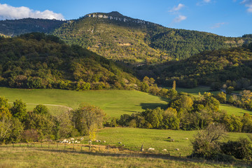 Fototapeta na wymiar paysage avec montagne et moutons