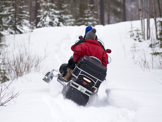Snowmobile is accelerating in the forest