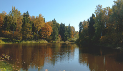 Autumn landscape with small forest pond