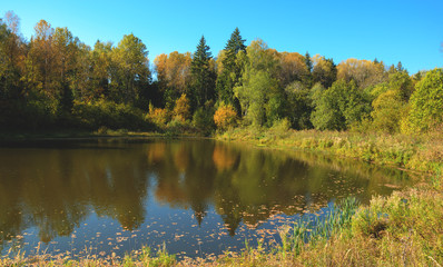 Fototapeta na wymiar Autumn landscape with small forest pond