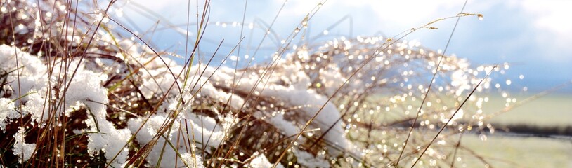 Winter Hintergrund - erster Schnee im November 