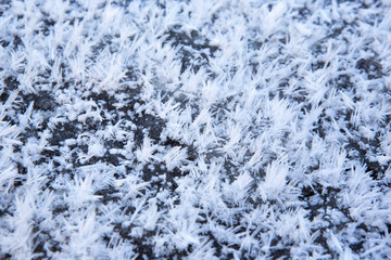 Art from nature. Frosty detailed ice bits on a cold morning.
