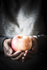 Hands holding a beautiful apple