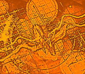 brain wave on electroencephalogram, EEG for epilepsy, illustration