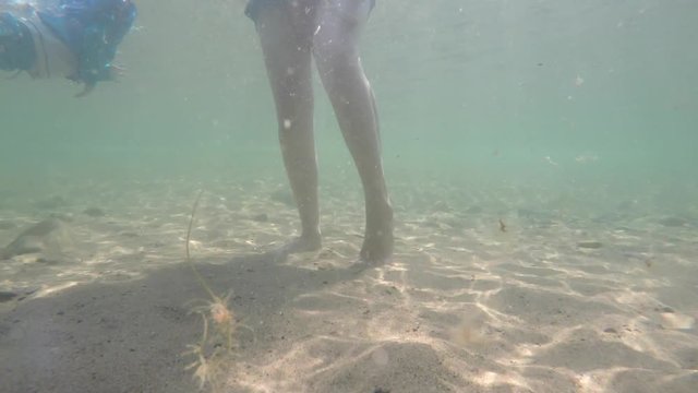 A family swimming in the tropical ocean water