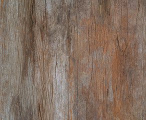 color painted old grunge wood wal, texture or vinrage wood backg