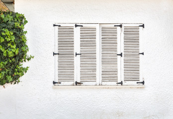 vintage window, Old wooden window and green ivy on white wall
