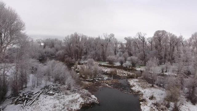 An aerial shot of a beautiful snowy river and tall trees